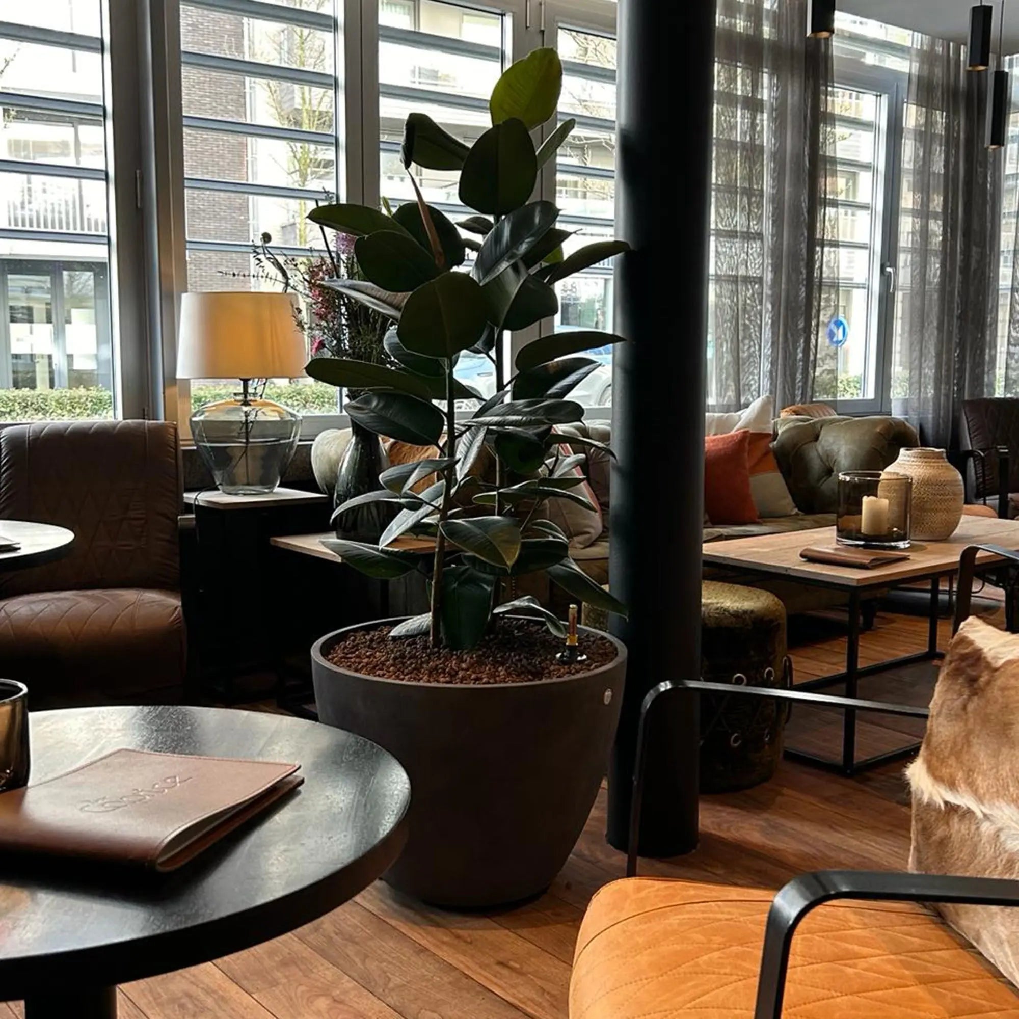 Cosapots Lupo Tapered Round Planter Cosapots