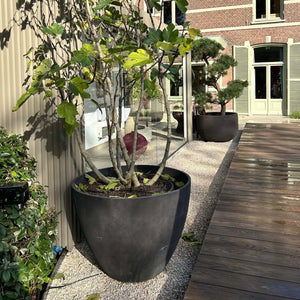 Cosapots Lupo Tapered Round Planter Cosapots