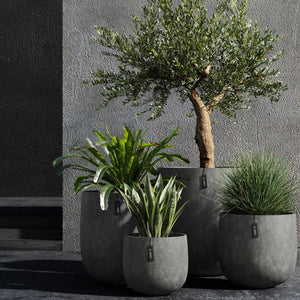 Cosapots Mondo Round Planter Cosapots