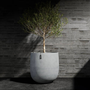 Cosapots Mondo Round Planter Cosapots