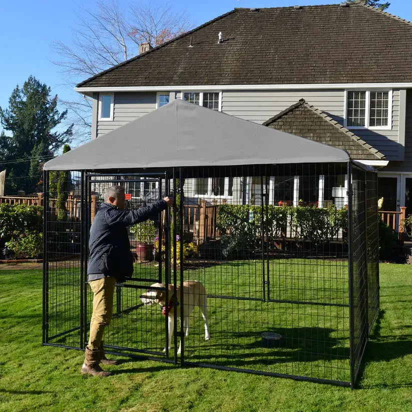 Outdoor-Dog-Kennel-Benefits-Why-Large-Breeds-Need-More-Space Orenza Living