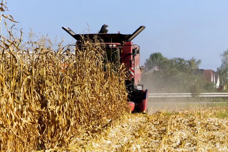 Harvest-Calculator-Essential-Tool-for-Optimizing-Crop-Yield-Planning-and-Agricultural-Timing Orenza Living