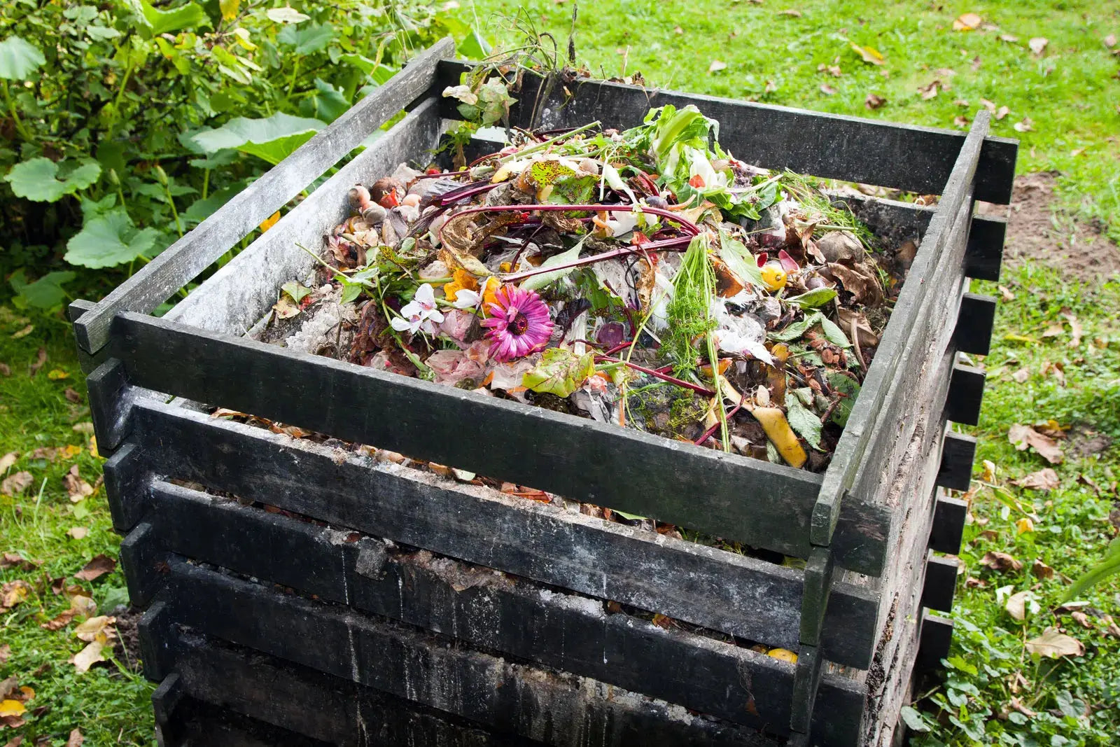 Composting-How-Does-It-Work-and-How-Do-You-Get-Started-A-Practical-Guide-for-Beginners Orenza Living