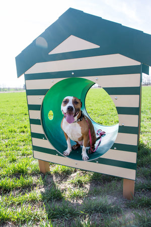 BarkPark Recycled Crawl Tunnel W/Dog House Orenza Living