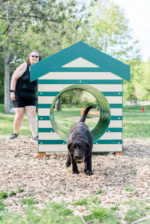 BarkPark Recycled Crawl Tunnel W/Dog House Orenza Living