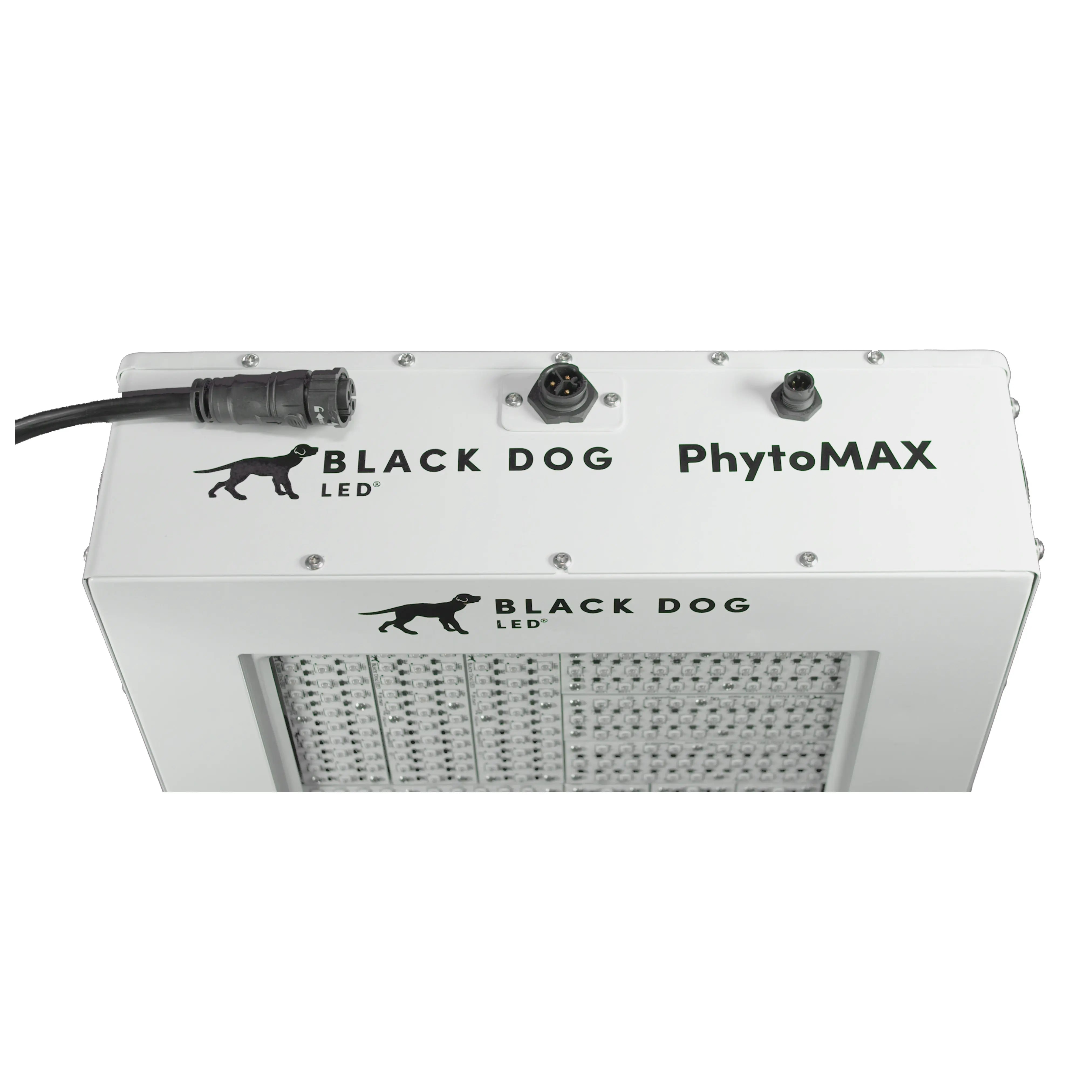 Black Dog 125W PhytoMax-4 2S LED Grow Light Black Dog