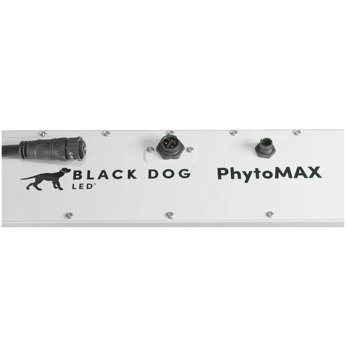 Black Dog 125W PhytoMax-4 2S LED Grow Light Black Dog