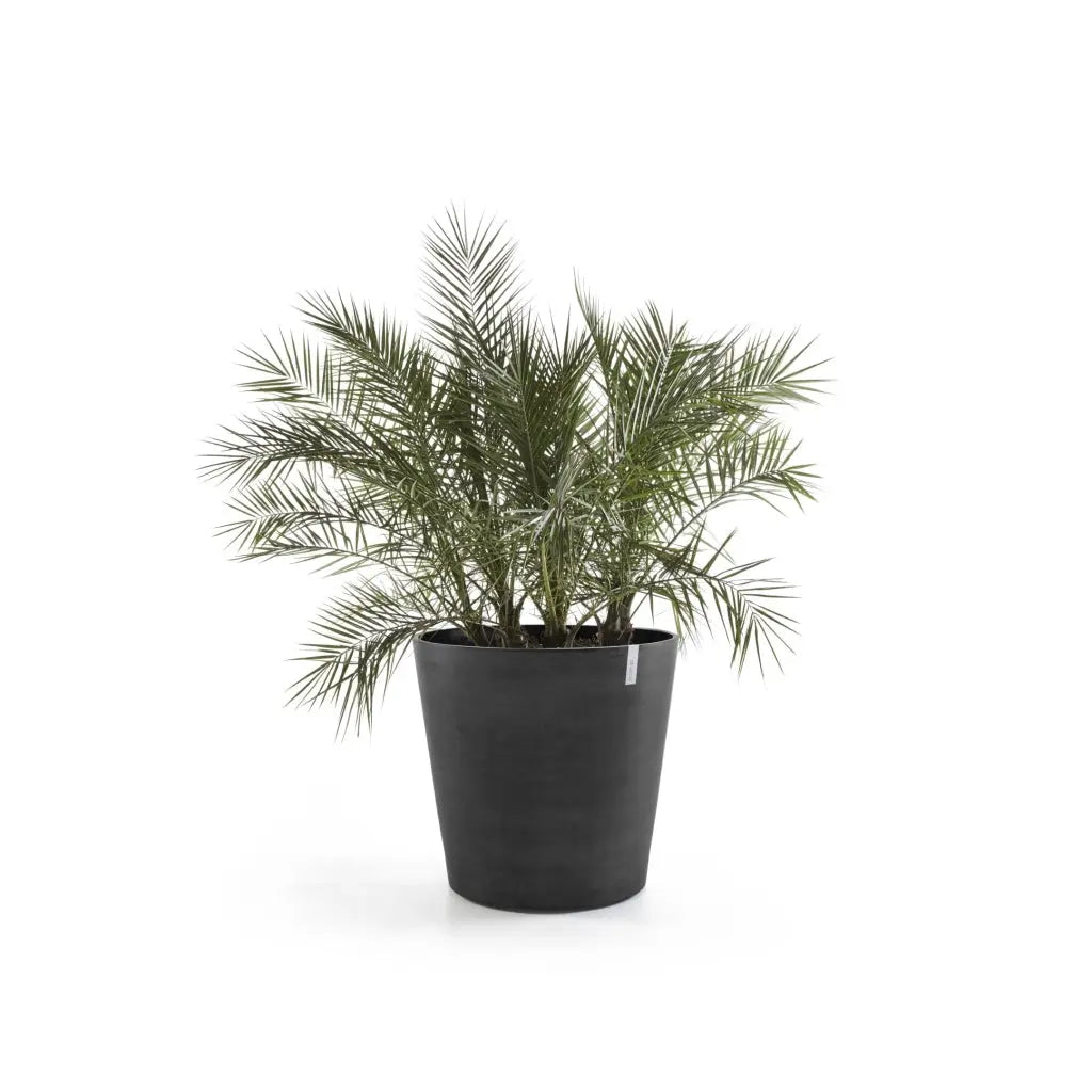 Ecopots Amsterdam Medium Round Planter with Wheels Ecopots