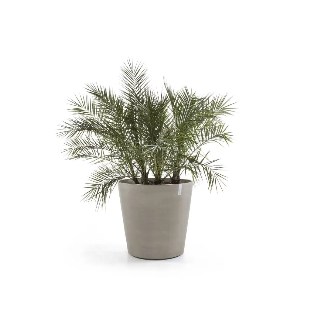 Ecopots Amsterdam Medium Round Planter with Wheels Ecopots