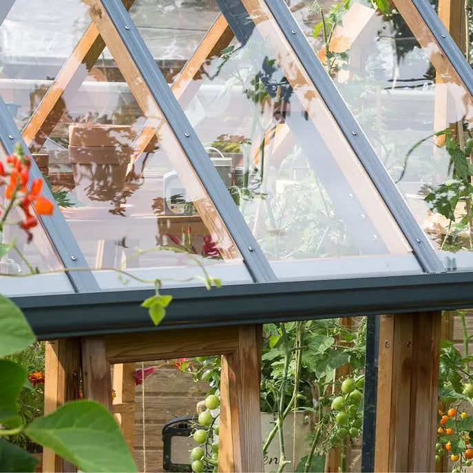 Gabriel Ash Rosemoor Greenhouse Kit 6 x 10 ft. with Tempered Glass Panels Red Cedar Wood Frame and Cold Frame Option Gabriel Ash