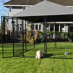 Lucky Dog® STAY Series® 10'L x 10'W Presidential Kennel Lucky Dog ®