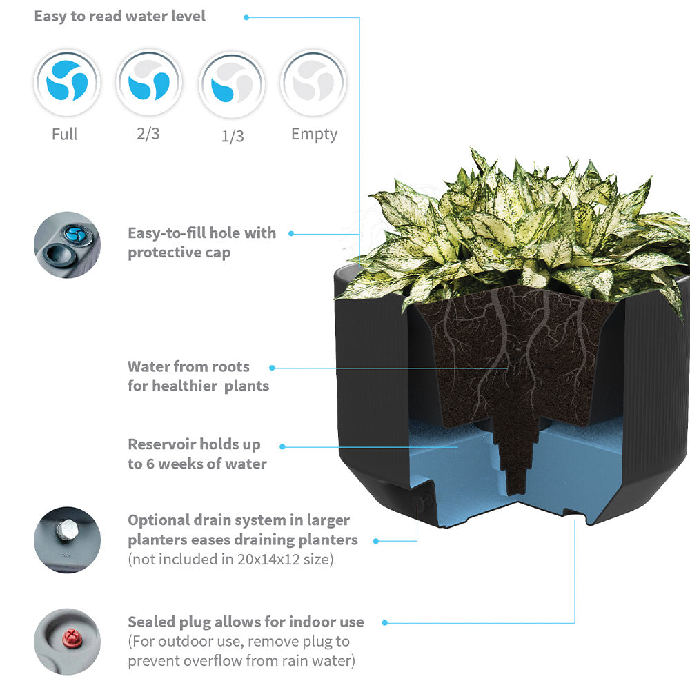Cutaway diagram of a self-watering planter with labeled features.