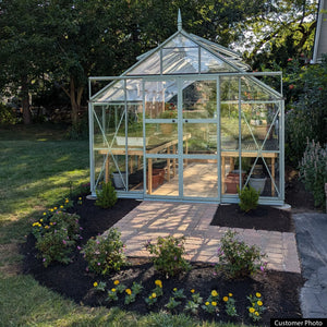 Rhino Premium Greenhouse Kit 10 x 16 ft. with 4mm Toughened Safety Glass Panels and Aluminum Frame Rhino Greenhouse