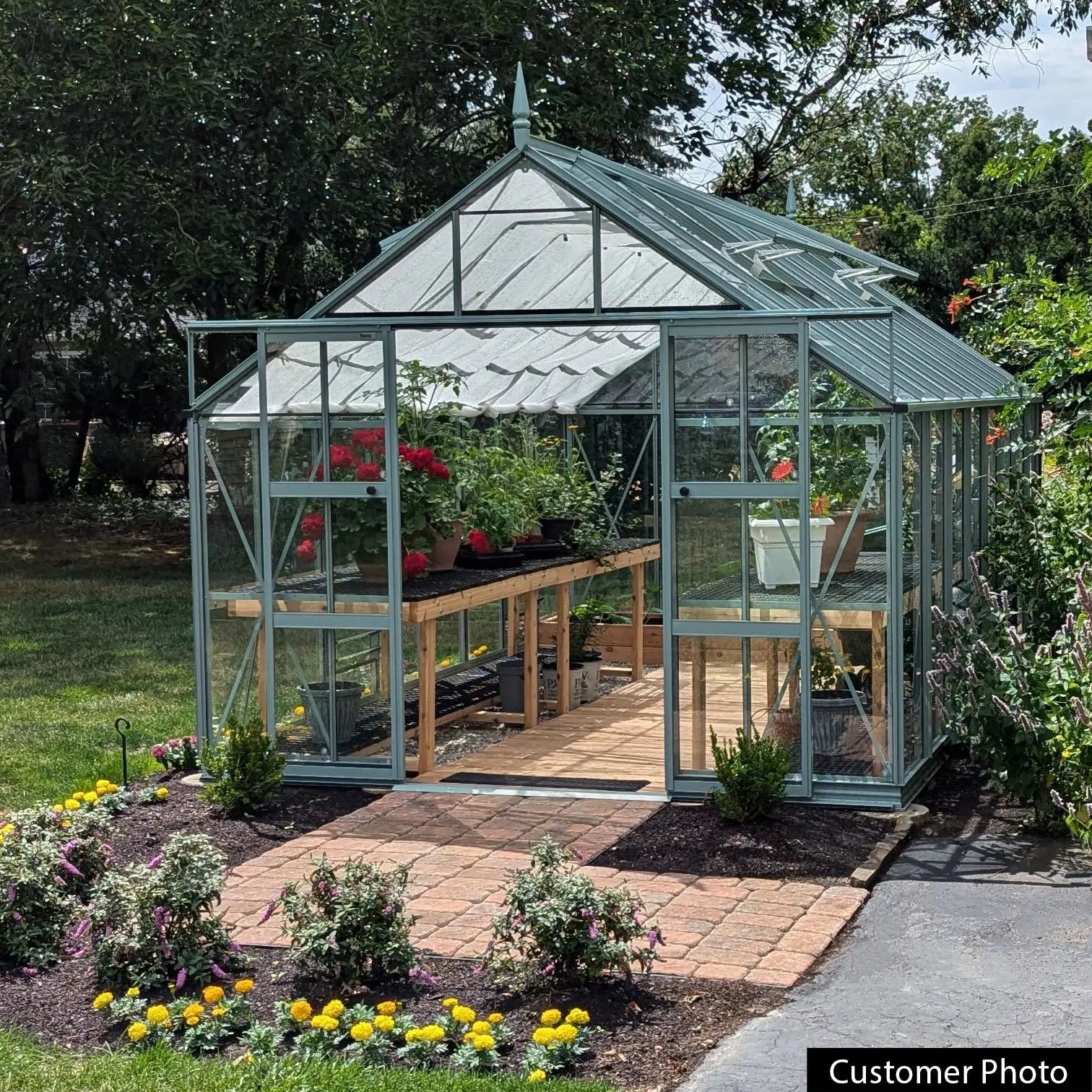 Rhino Premium Greenhouse Kit 10 x 16 ft. with 4mm Toughened Safety Glass Panels and Aluminum Frame Rhino Greenhouse