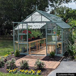 Rhino Premium Greenhouse Kit 10 x 16 ft. with 4mm Toughened Safety Glass Panels and Aluminum Frame Rhino Greenhouse