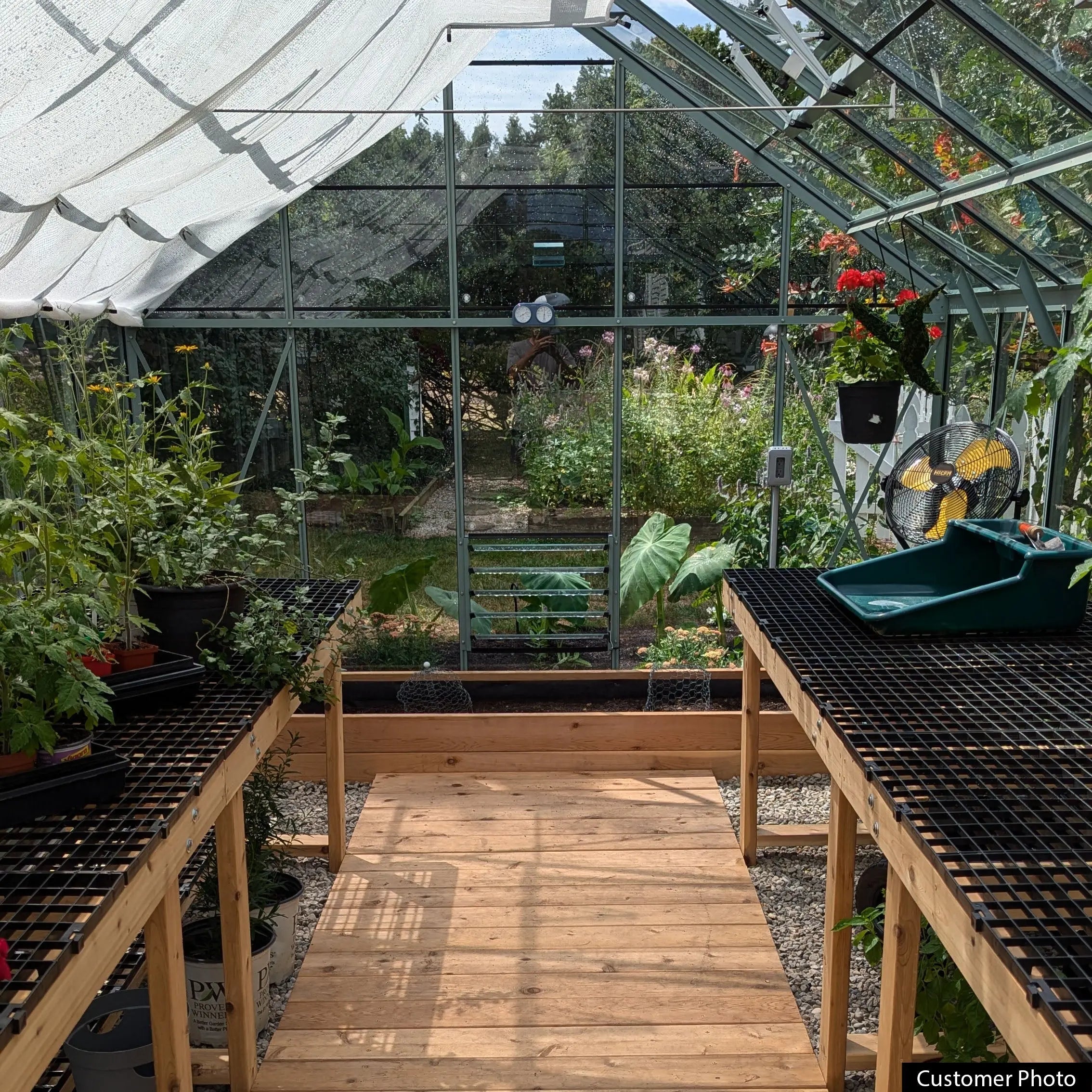 Rhino Premium Greenhouse Kit 10 x 16 ft. with 4mm Toughened Safety Glass Panels and Aluminum Frame Rhino Greenhouse