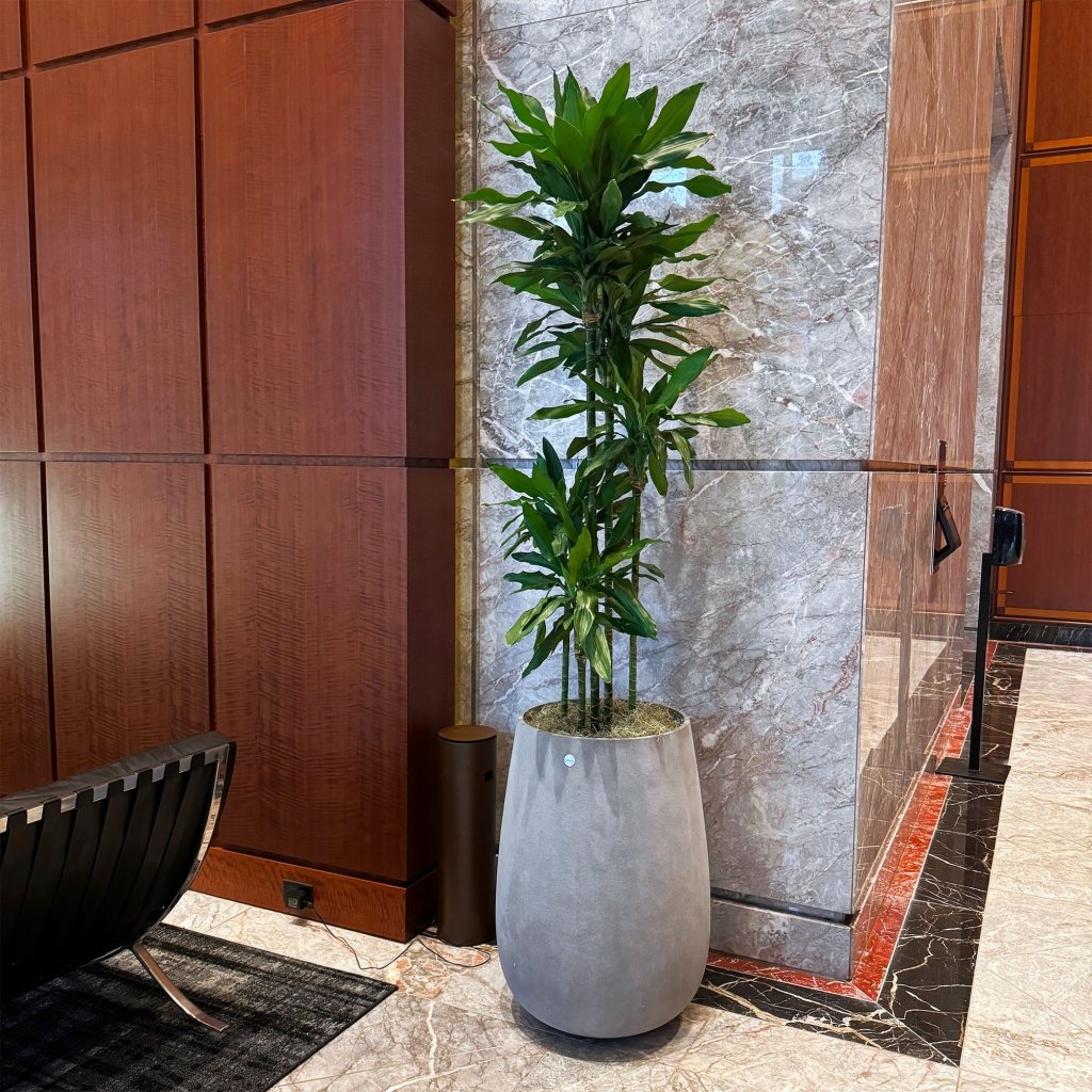 Cosapots Mondo High Tall Round Planter