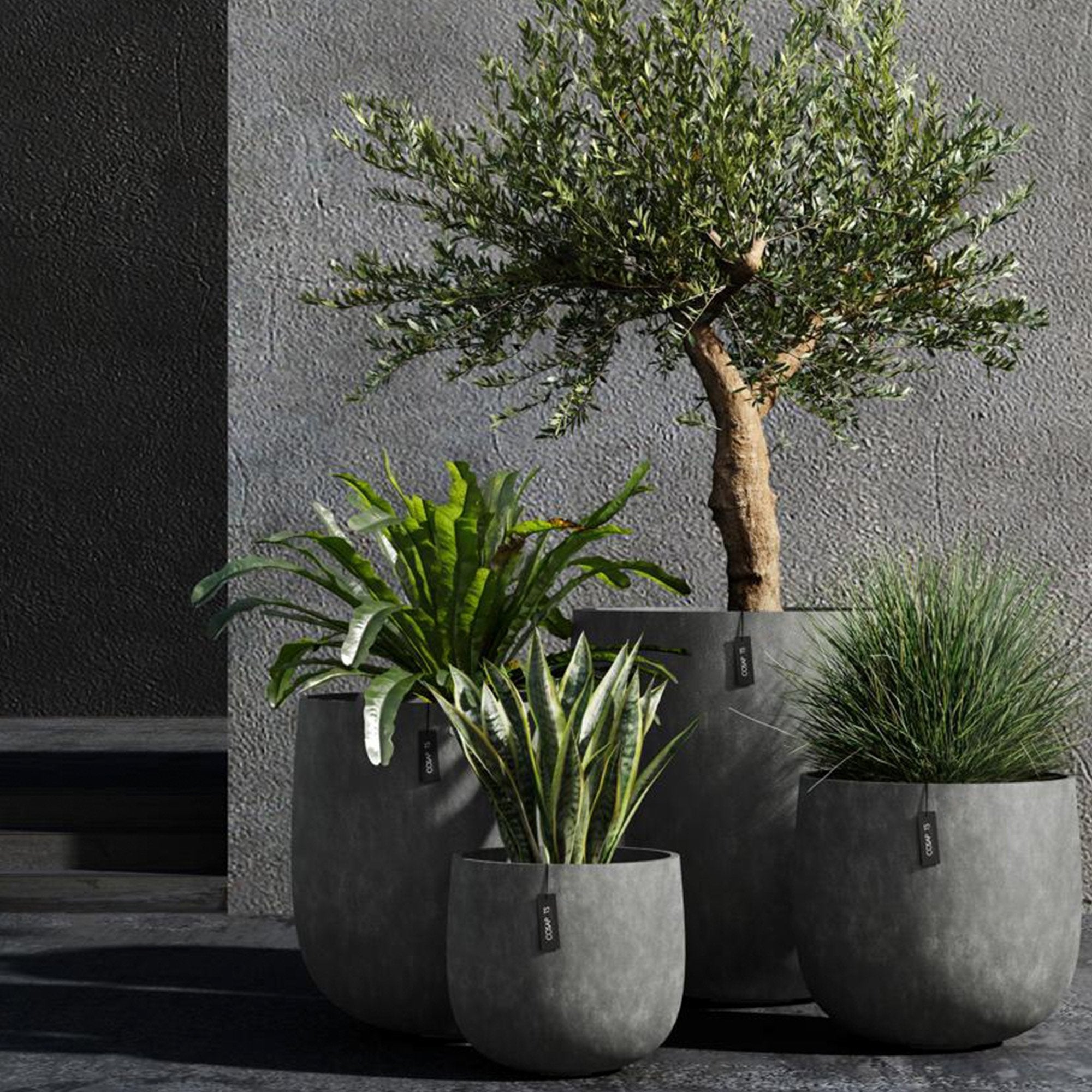 Cosapots Mondo Round Planter