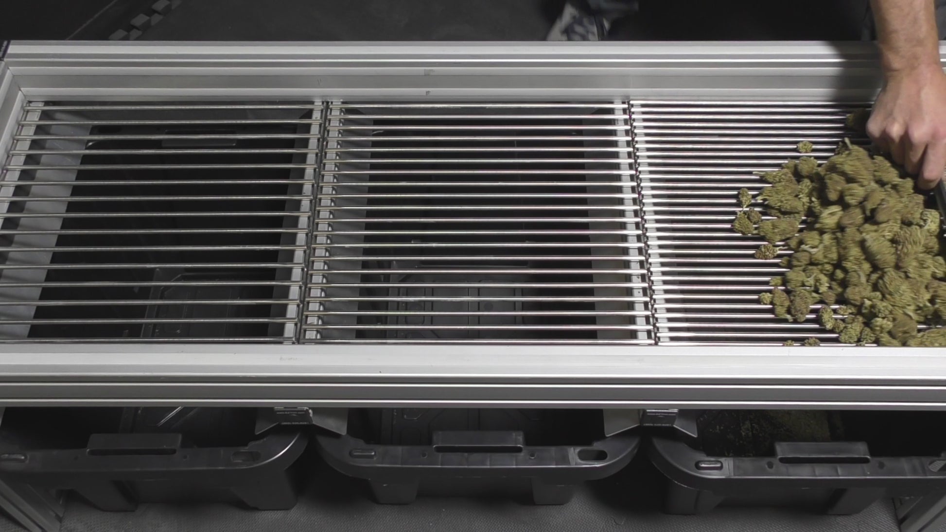 Bud Sorter Mini-Orenza Living